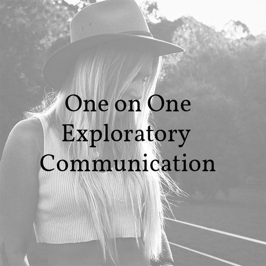 One on One Exploratory Communication